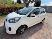 Usata Kia Picanto Active 67 CV (49 kW) 2016 Bianco Utilitaria