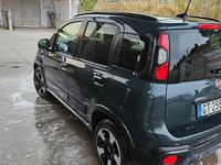 Usata Fiat Panda Cross Cross 2024 Verde Utilitaria