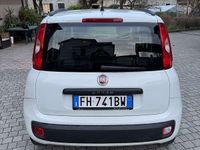 Usata Fiat Panda Easy 69 CV (50 kW) 2017 Bianco Utilitaria