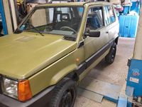 Usata Fiat Panda 4x4 54 CV (39 kW) 2001 Verde Utilitaria