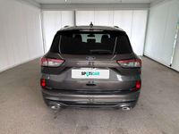 Usata Ford Kuga ST-Line X 150 CV (110 kW) 2021 Grigio SUV