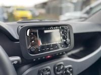 Nuova Fiat Panda Icon 65 CV (47 kW) 2025 Bianco Utilitaria