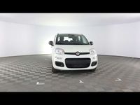 Nuova Fiat Panda Icon 70 CV (51 kW) 2025 Bianco gelato Utilitaria