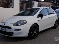 Usata Fiat Punto Lounge 75 CV (55 kW) 2014 Bianco Utilitaria