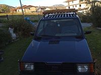 Usata Fiat Panda 4x4 Climbing 54 CV (39 kW) 2002 Blu/azzurro Utilitaria