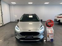 Usata Ford Fiesta Active 85 CV (62 kW) 2019 Grigio Utilitaria