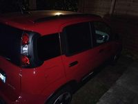 Usata Fiat Panda Icon 69 CV (50 kW) 2025 Utilitaria