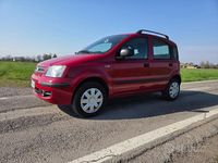 Usata Fiat Panda 77 CV (56 kW) 2009 Rosso Utilitaria