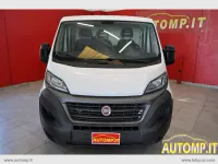 Usata Fiat Ducato 120 CV (88 kW) 2020 Bianco Furgone