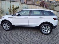 Usata Land Rover Range Rover evoque Pure 150 CV (110 kW) 2013 Bianco SUV