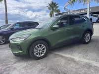 Usata Ford Kuga Titanium 151 CV (111 kW) 2024 Verde SUV