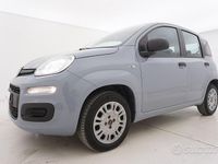 Usata Fiat Panda Easy 69 CV (50 kW) 2020 Grigio Utilitaria