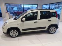 usata Fiat Panda 1.0 FireFly S&S Hybrid City Life