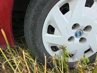 Usata Fiat Punto 2001 Utilitaria