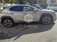 Usata Lexus UX 152 CV (111 kW) 2020 Grigio SUV