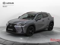Usata Lexus UX 183 CV (134 kW) 2021 Grigio SUV