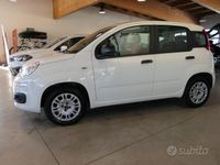 Usata Fiat Panda Easy 69 CV (50 kW) 2020 Bianco Utilitaria