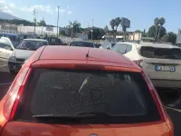 Usata Fiat Grande Punto Active 75 CV (55 kW) 2007 Arancione Utilitaria