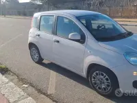 Usata Fiat Panda 45 CV (33 kW) 2016 Giallo Utilitaria