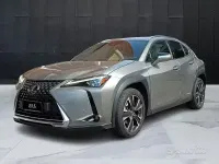 Usata Lexus UX Luxury Line 184 CV (135 kW) 2020 Grigio SUV