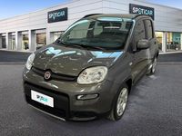 Usata Fiat Panda City Life 70 CV (51 kW) 2022 Grigio Utilitaria