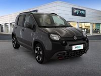 usata Fiat Panda Cross 1.0 FireFly 70cv S&S Hybrid