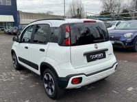 usata Fiat Panda Cross 1.0 FireFly S&S Hybrid