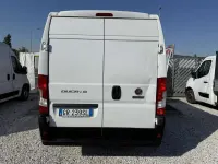 Usata Fiat Ducato 33 140 CV (102 kW) 2023 Bianco Furgone