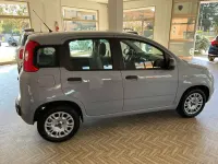Usata Fiat Panda Easy 69 CV (50 kW) 2018 Grigio Utilitaria