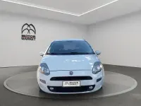 Usata Fiat Punto Lounge 95 CV (69 kW) 2017 Bianco Utilitaria
