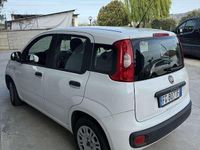 Usata Fiat Panda Easy 95 CV (69 kW) 2017 Utilitaria