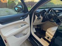 Usata Alfa Romeo Stelvio 210 CV (154 kW) 2020 Verde SUV