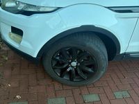 Usata Land Rover Range Rover evoque 150 CV (110 kW) 2012 Bianco SUV