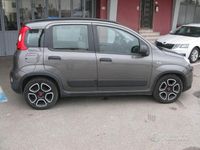 Usata Fiat Panda City Life 71 CV (52 kW) 2022 Grigio Utilitaria