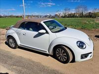 usata VW Maggiolino Cabrio 2.0 TDI Design BlueMotion Technology