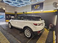 Usata Land Rover Range Rover evoque 150 CV (110 kW) 2016 Bianco SUV