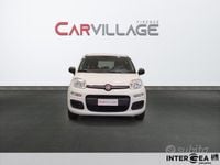 Usata Fiat Panda Easy 69 CV (50 kW) 2020 Bianco Berlina