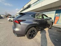 Usata Lexus NX300h 155 CV (114 kW) 2021 Grigio SUV
