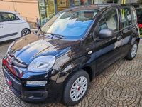 Usata Fiat Panda Easy 69 CV (50 kW) 2020 Nero Utilitaria