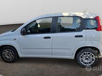 Usata Fiat Panda Easy 95 CV (69 kW) 2018 Bianco Berlina