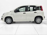 Nuova Fiat Panda Icon 65 CV (47 kW) 2026 Bianco Utilitaria