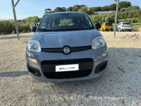 Usata Fiat Panda City Life 69 CV (50 kW) 2022 Grigio Utilitaria