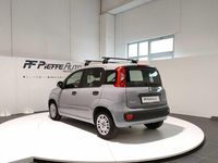 Usata Fiat Panda S 70 CV (51 kW) 2021 Grigio Utilitaria