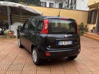 Usata Fiat Panda Icon 69 CV (50 kW) 2025 Utilitaria