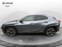 usata Lexus UX 250h Hybrid Premium