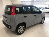 Usata Fiat Panda Easy 69 CV (50 kW) 2019 Grigio Utilitaria