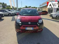 Usata Fiat Panda Cross Cross 70 CV (51 kW) 2023 Rosso Utilitaria