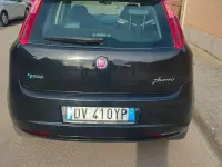 Usata Fiat Punto 77 CV (56 kW) 2009 Utilitaria
