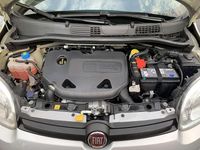 Usata Fiat Panda 4x4 S 86 CV (63 kW) 2017 Utilitaria