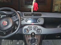 Usata Fiat Panda Easy 69 CV (50 kW) 2020 Grigio Utilitaria